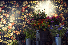 Midnight Garden wallpaer, flowers from Wild at Heart